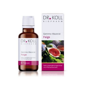GEMMO Mazerat Feige Dr.Koll Ficus carica Tropfen